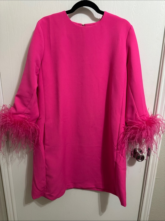 Tuckernuck Dresses & Skirts - Tuckernuck Hot Pink Feather Sleeve Cocktail Shift Party Dress Mod Ellie XL Retro